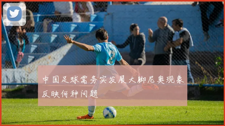 中国足球需务实发展大脚尼奥现象反映何种问题