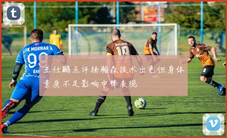 王仕鹏点评杨瀚森技术出色但身体素质不足影响中锋表现