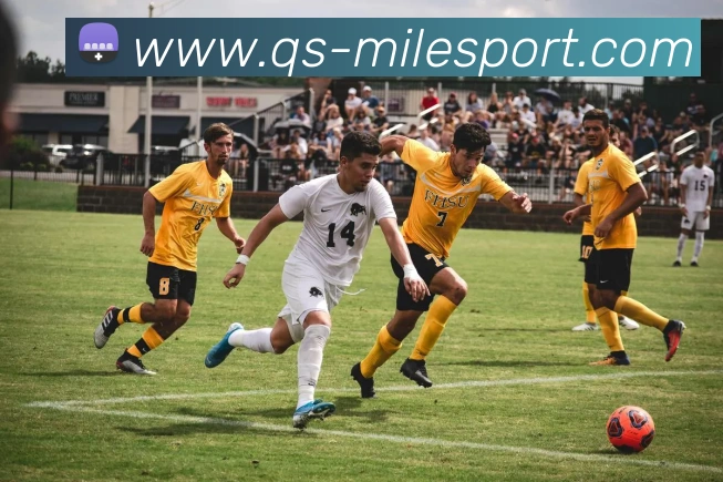 米乐足球平台生态图